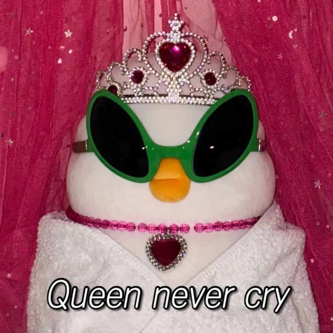 小头猪国主理人