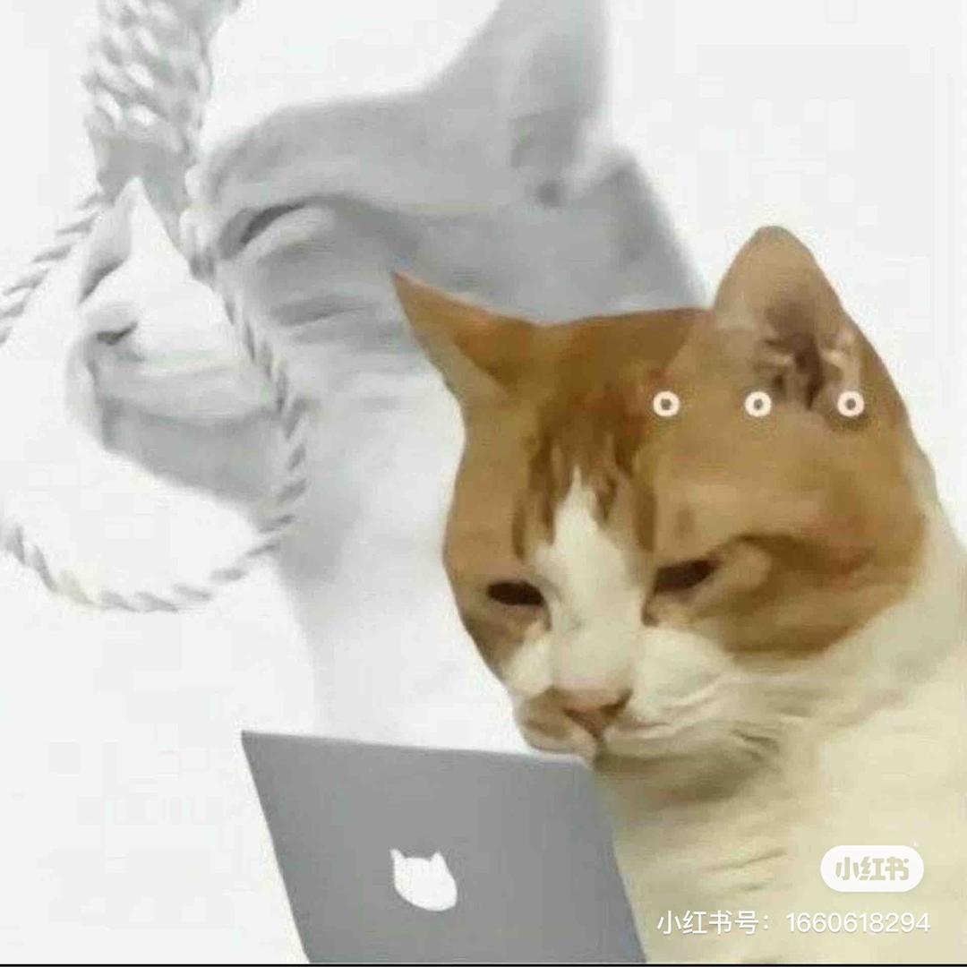 淡定的精神病世界