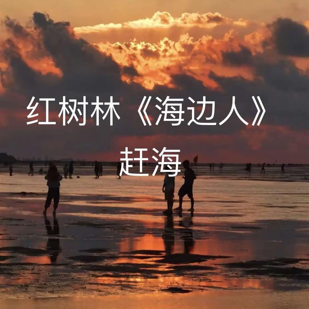 红树林海边人赶海基地