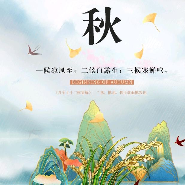 农村陈姐