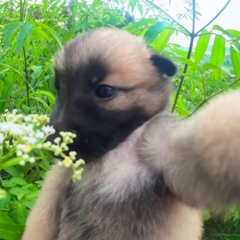 武汉小吕租房日记