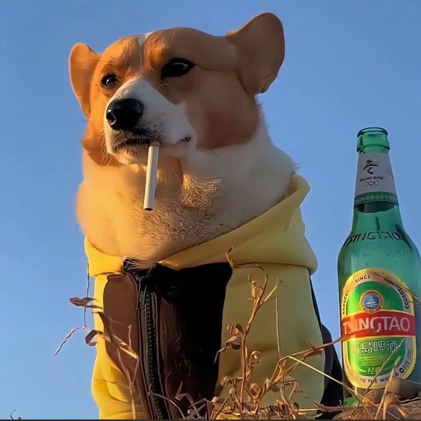 985🚇北北（5米地铁）