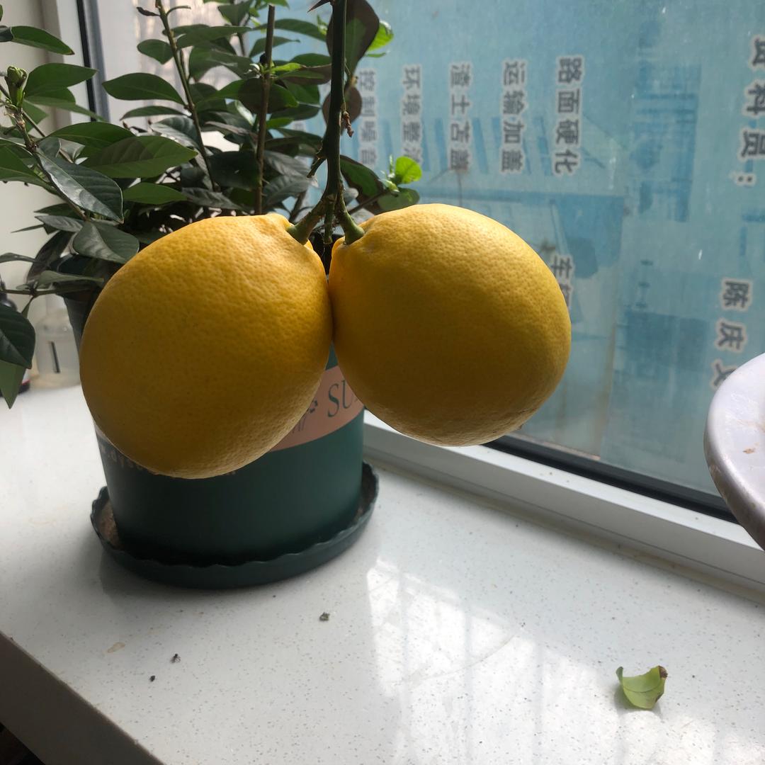 天津MY蜜美容养生会所