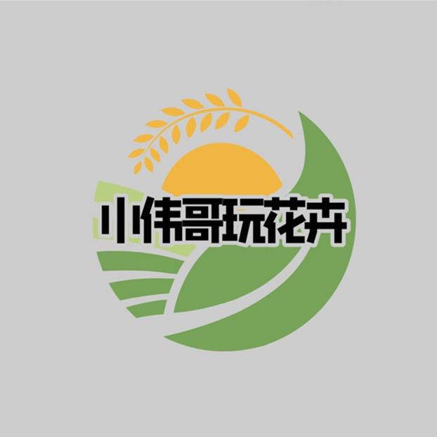 小伟哥玩花卉