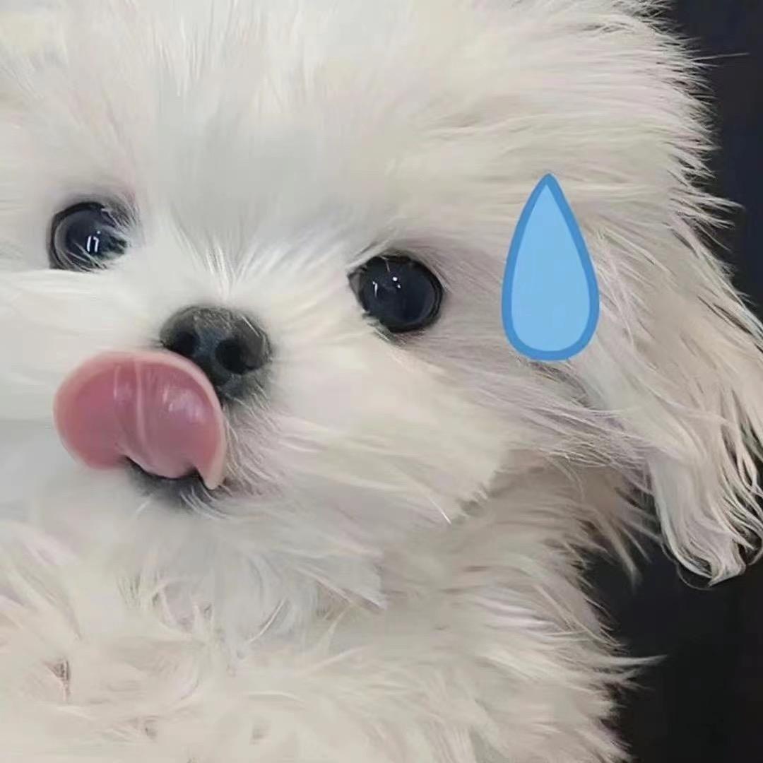 不能再吃了