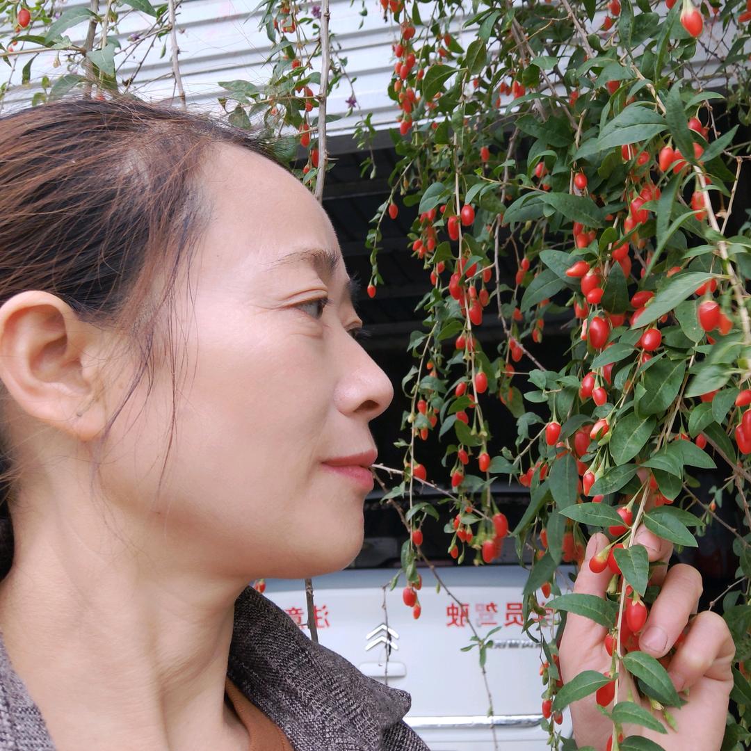 我就是我206061167