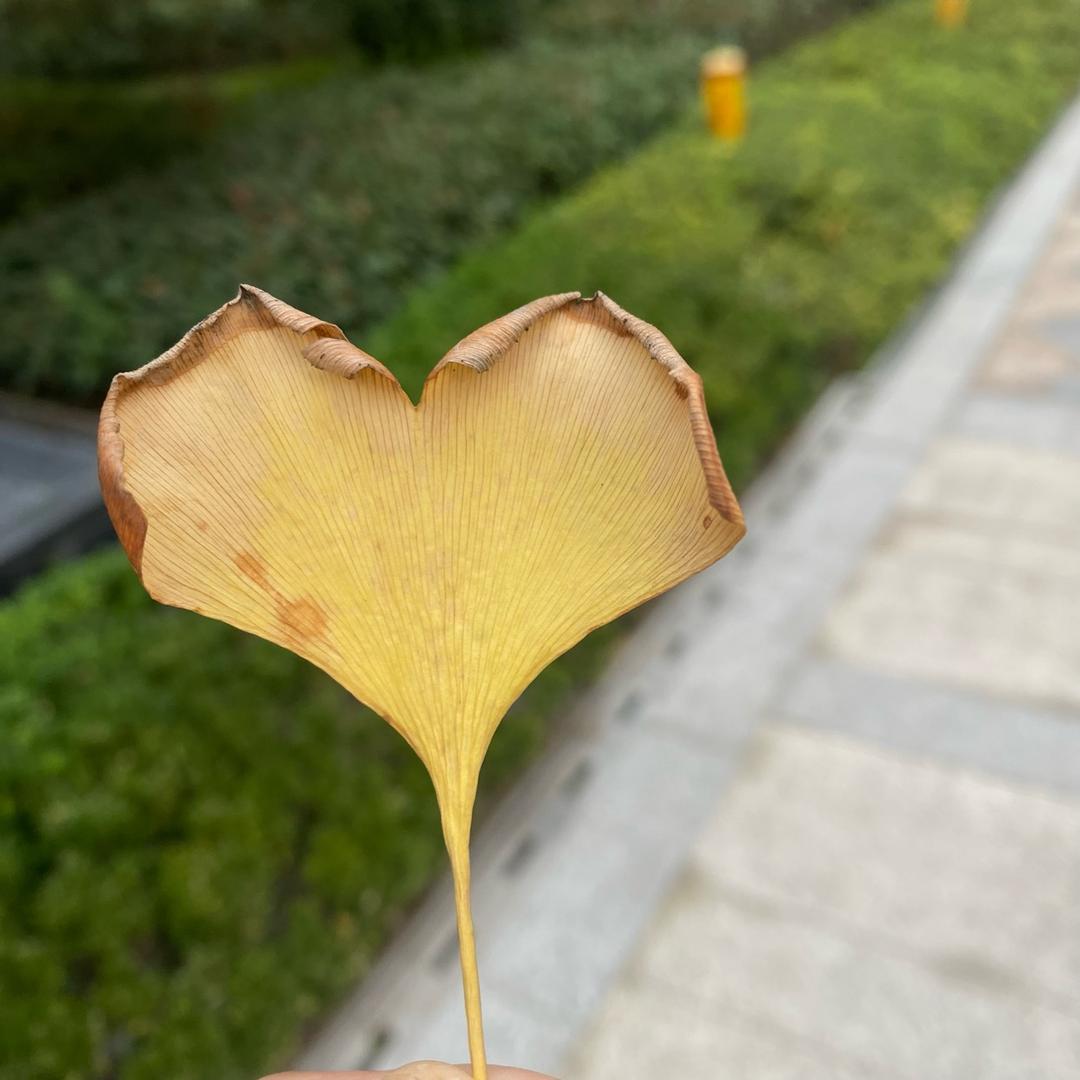 开心每一天