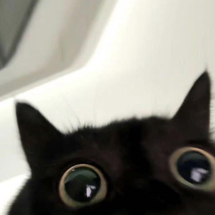 年年