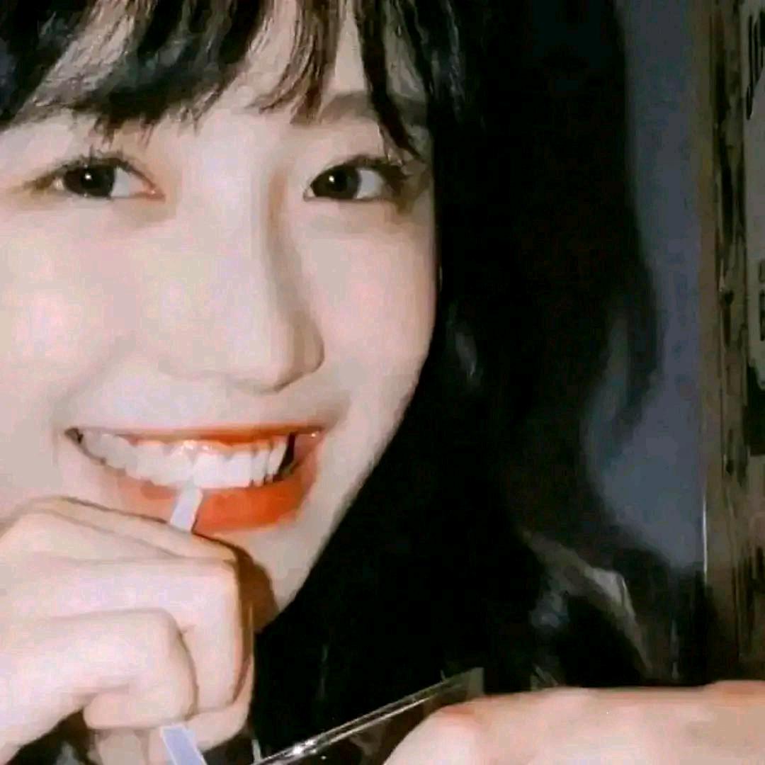 南枫