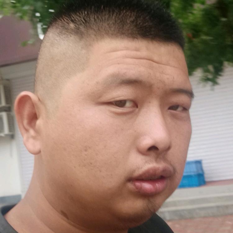 专业带车各种收割机 玉米收割机小麦收割机