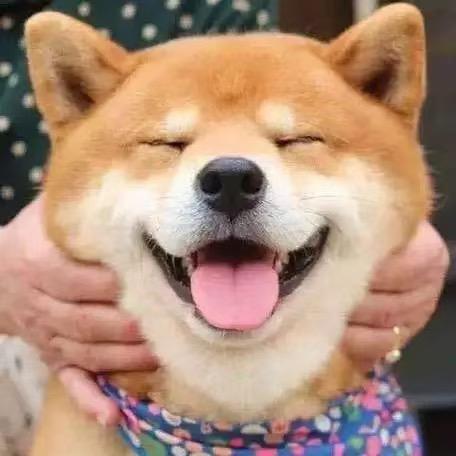 傻白甜