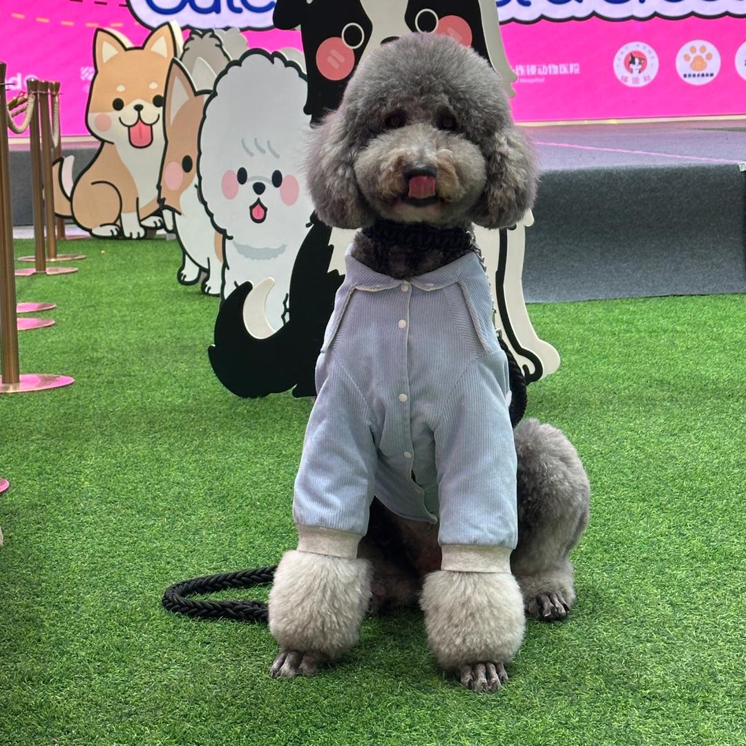 巨贵宝宝～米修