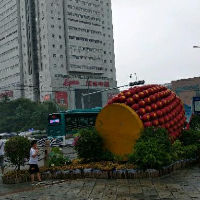 浪迹天涯