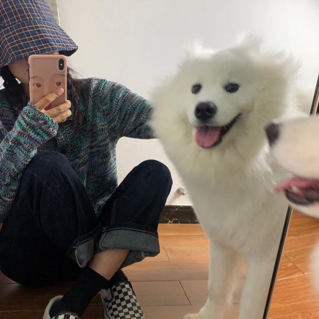 康康子.