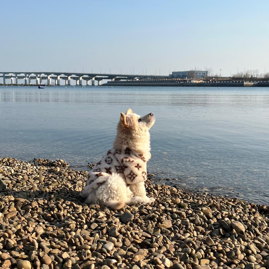 澜沧江海