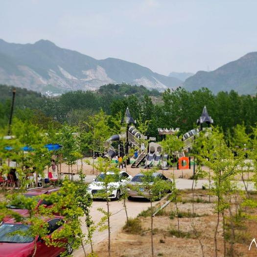 相伴青山 露营烧烤采摘园