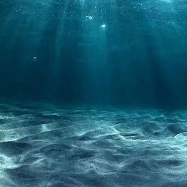 漂浮失忆丶