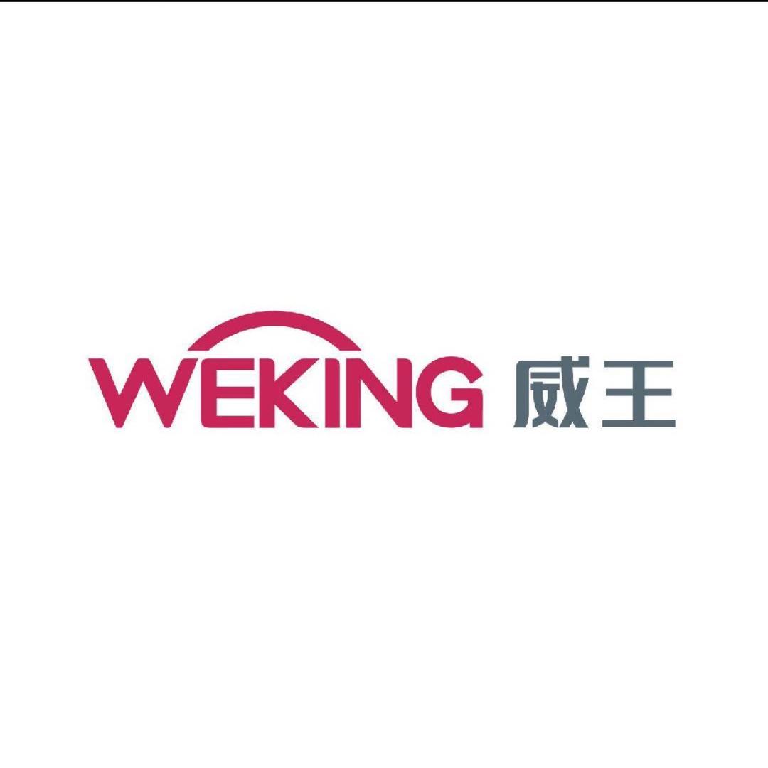 广东威王集团有限公司