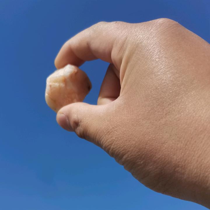 韩五