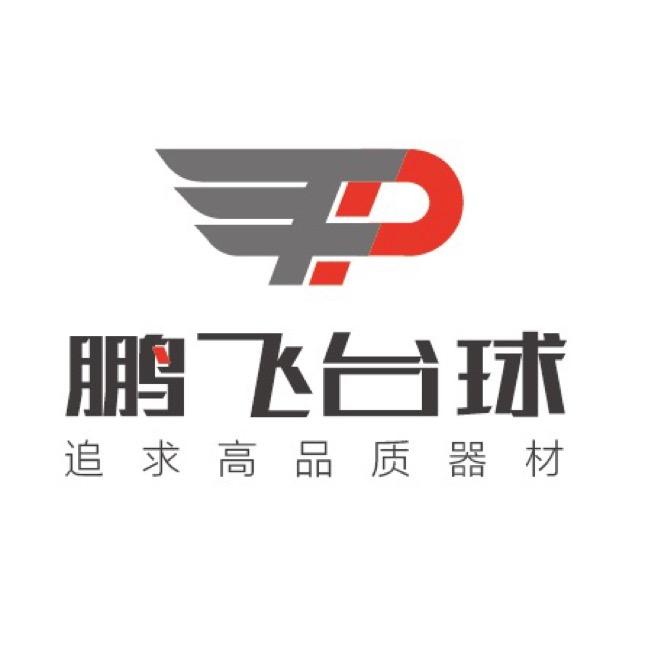 天津市鹏飞台球