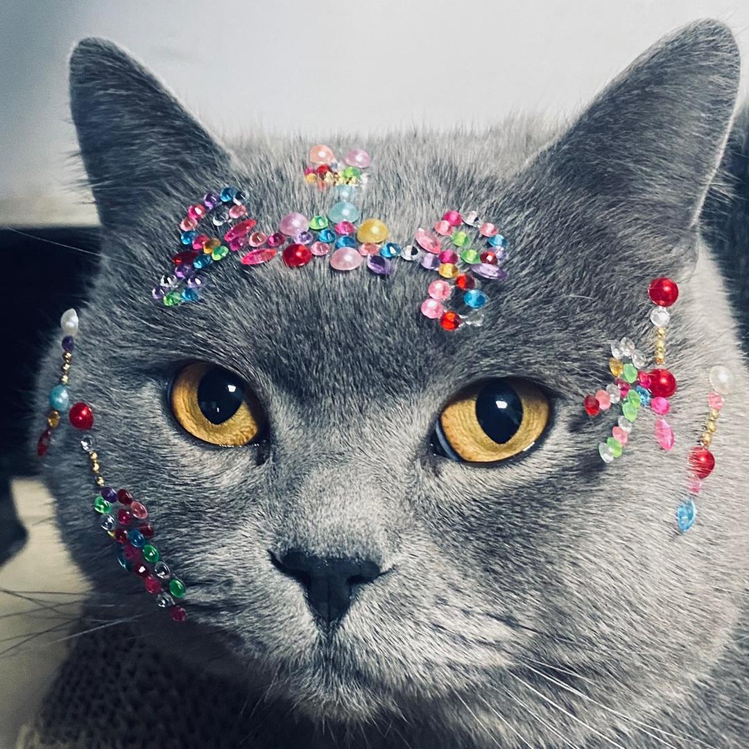 黑猫抖店运营