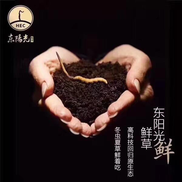 东阳光鲜虫草兰州万象城店