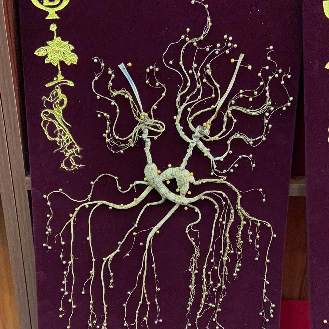 大智慧参茸特产行