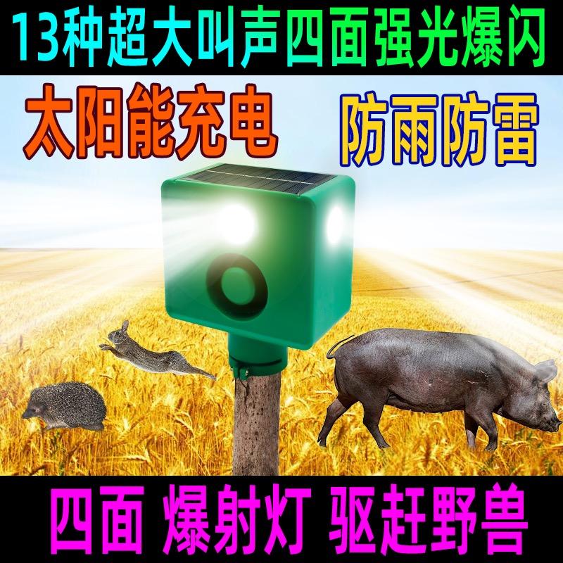 雨水文百货臻选