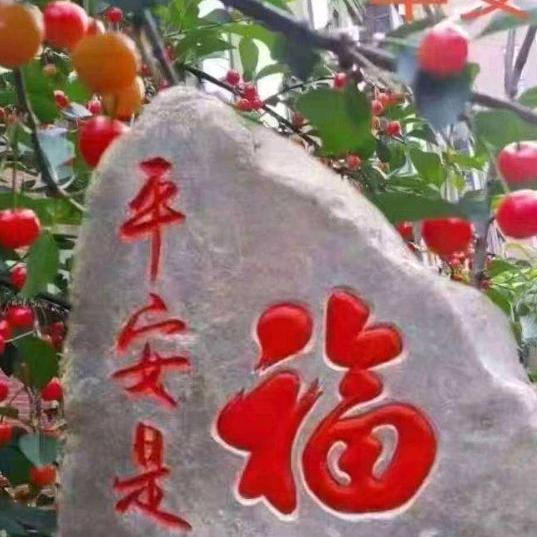 用户废铁收购