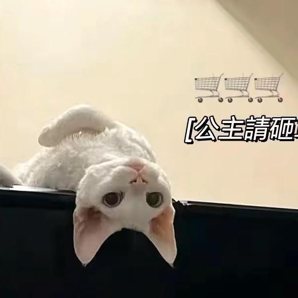 开罐