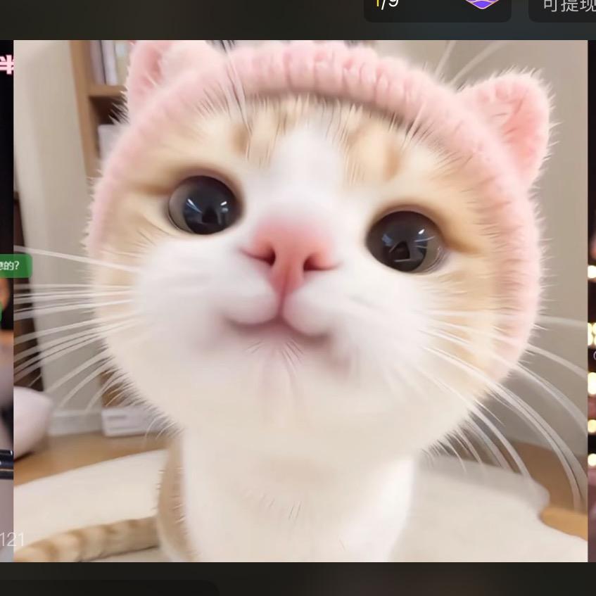 小金鱼吖