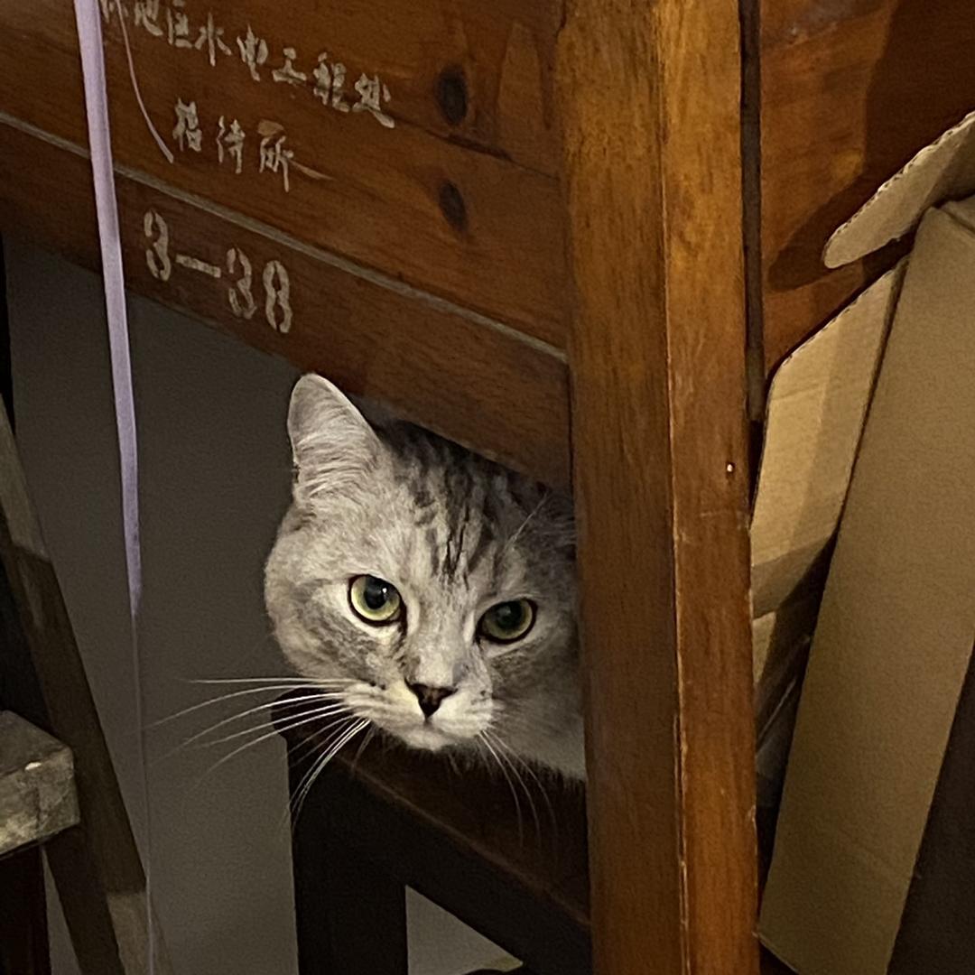 A瓜瓜