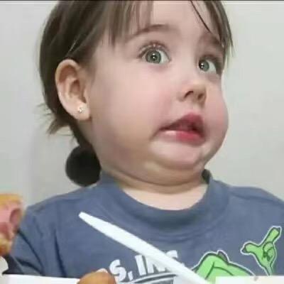 小飞狗