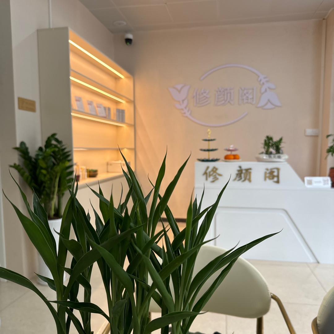 修颜阁，夏夏哎