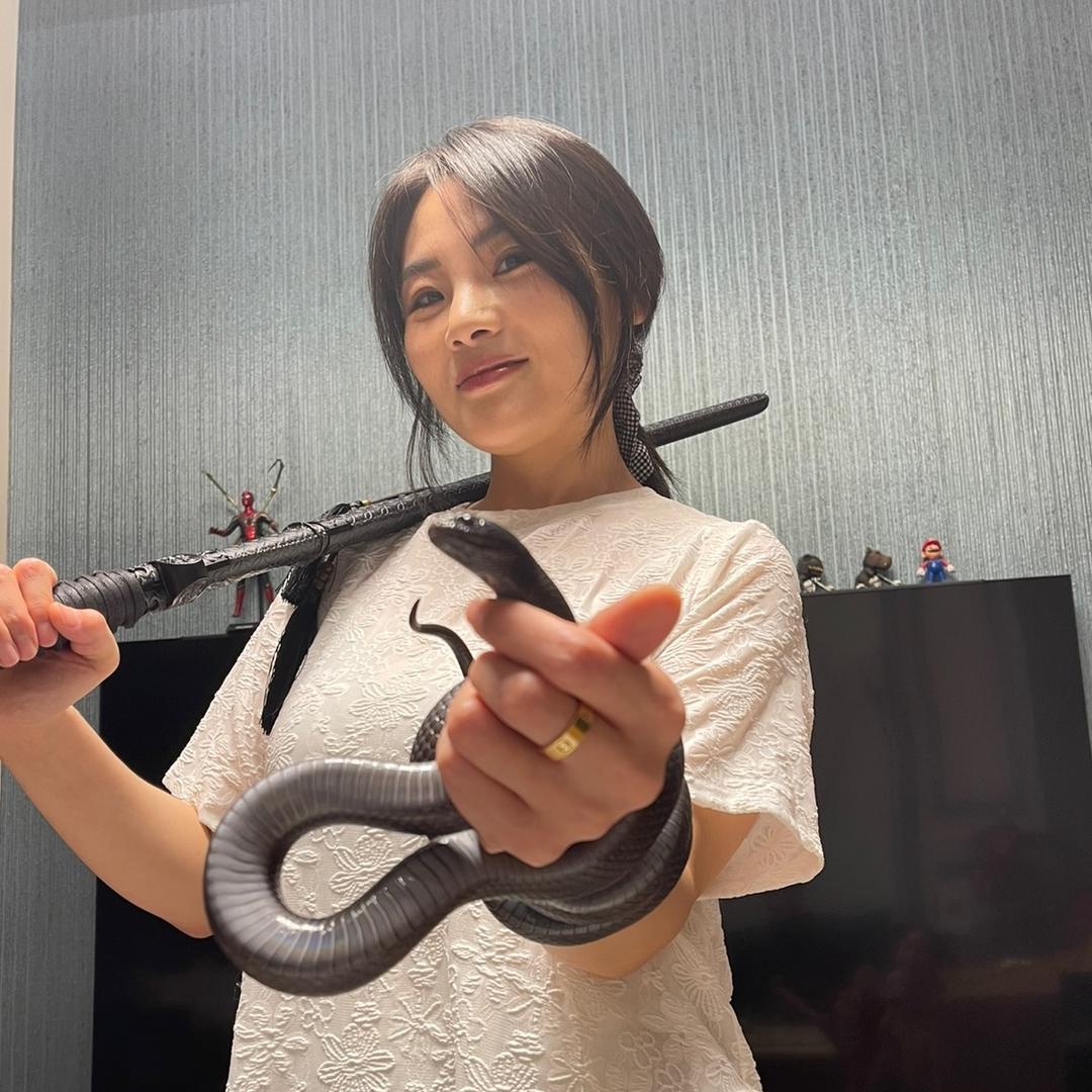 蛇来运转2号🐍自繁无毒宠物蛇