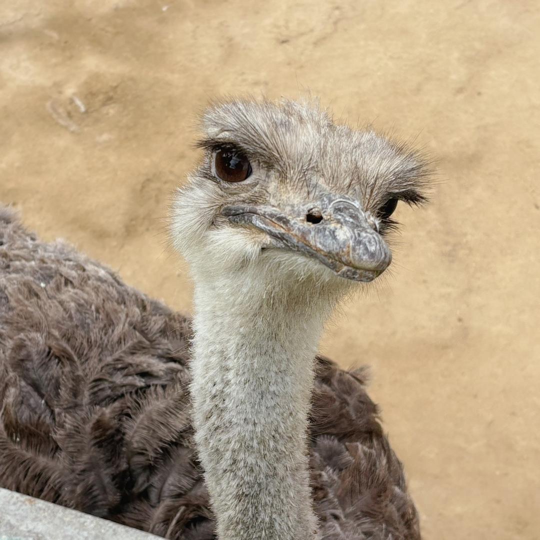 互相监督增加执行力