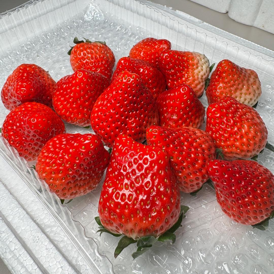 春色农场优选