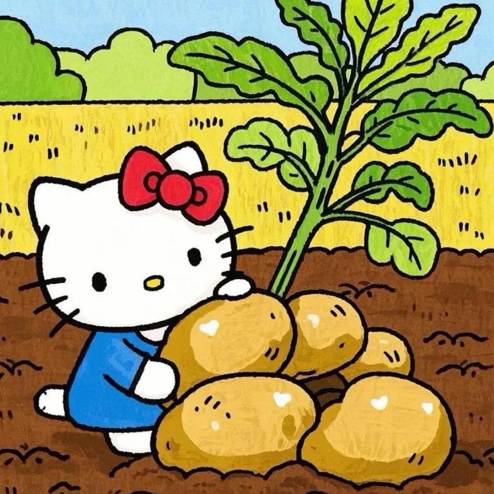 前锋开心土豆片