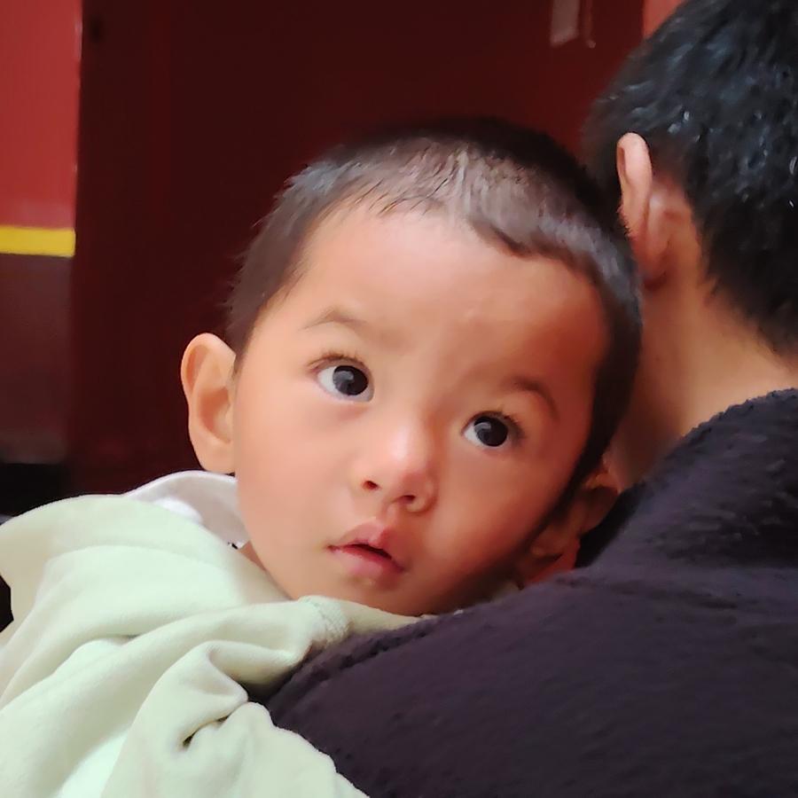 我的尊严你高攀不起