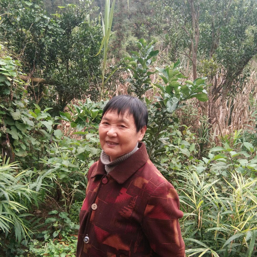 春暧花开