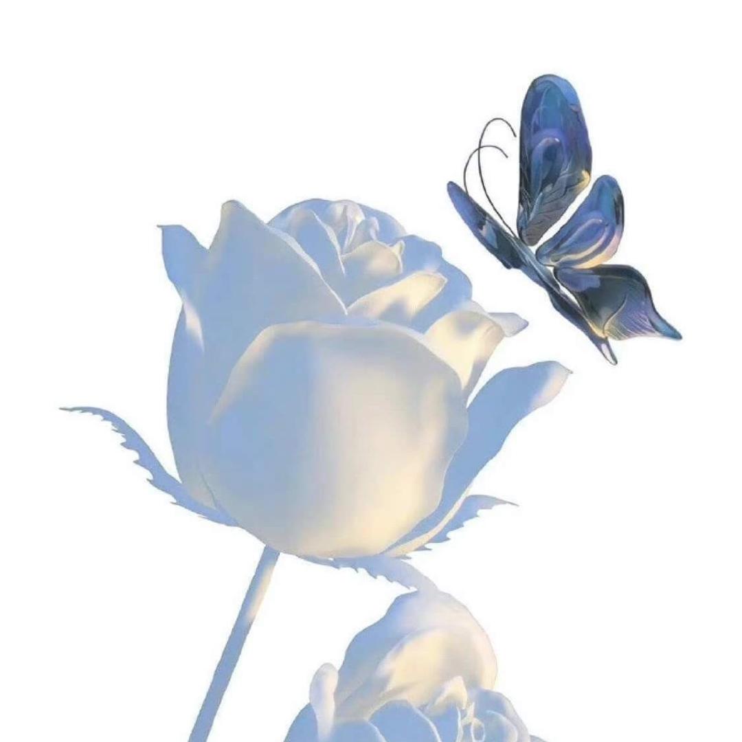 💫听说糖💓很甜💕