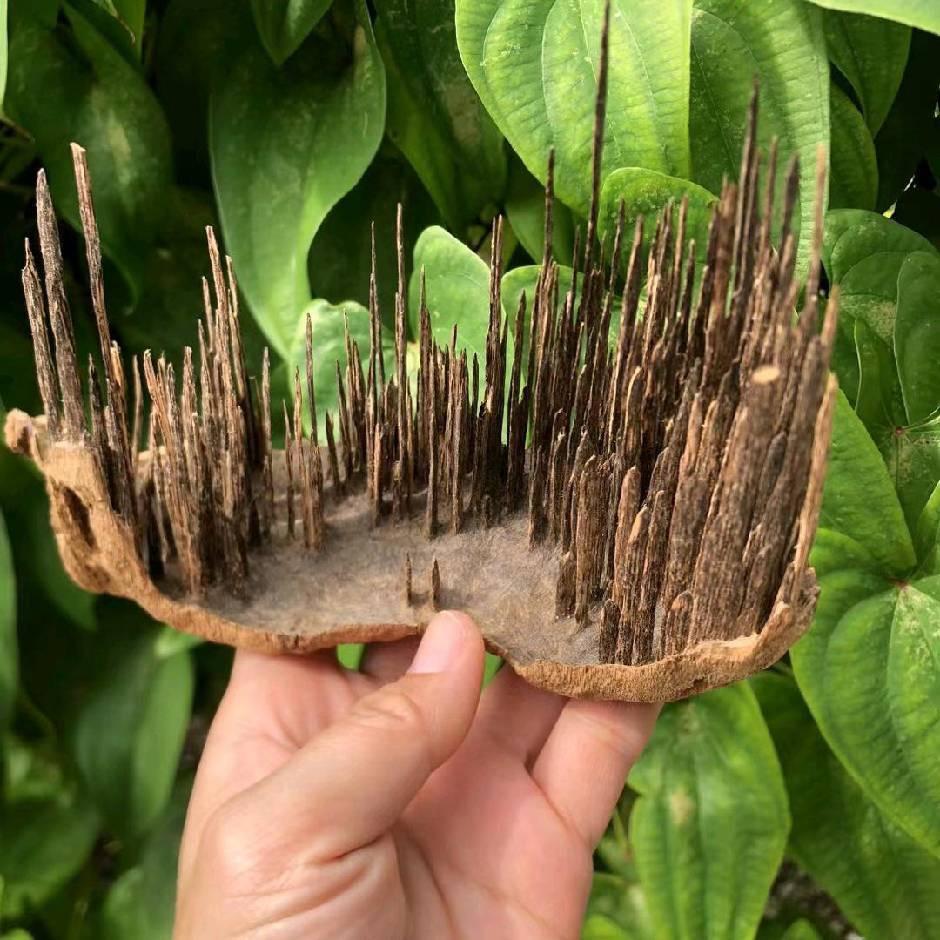 沉香特色小镇