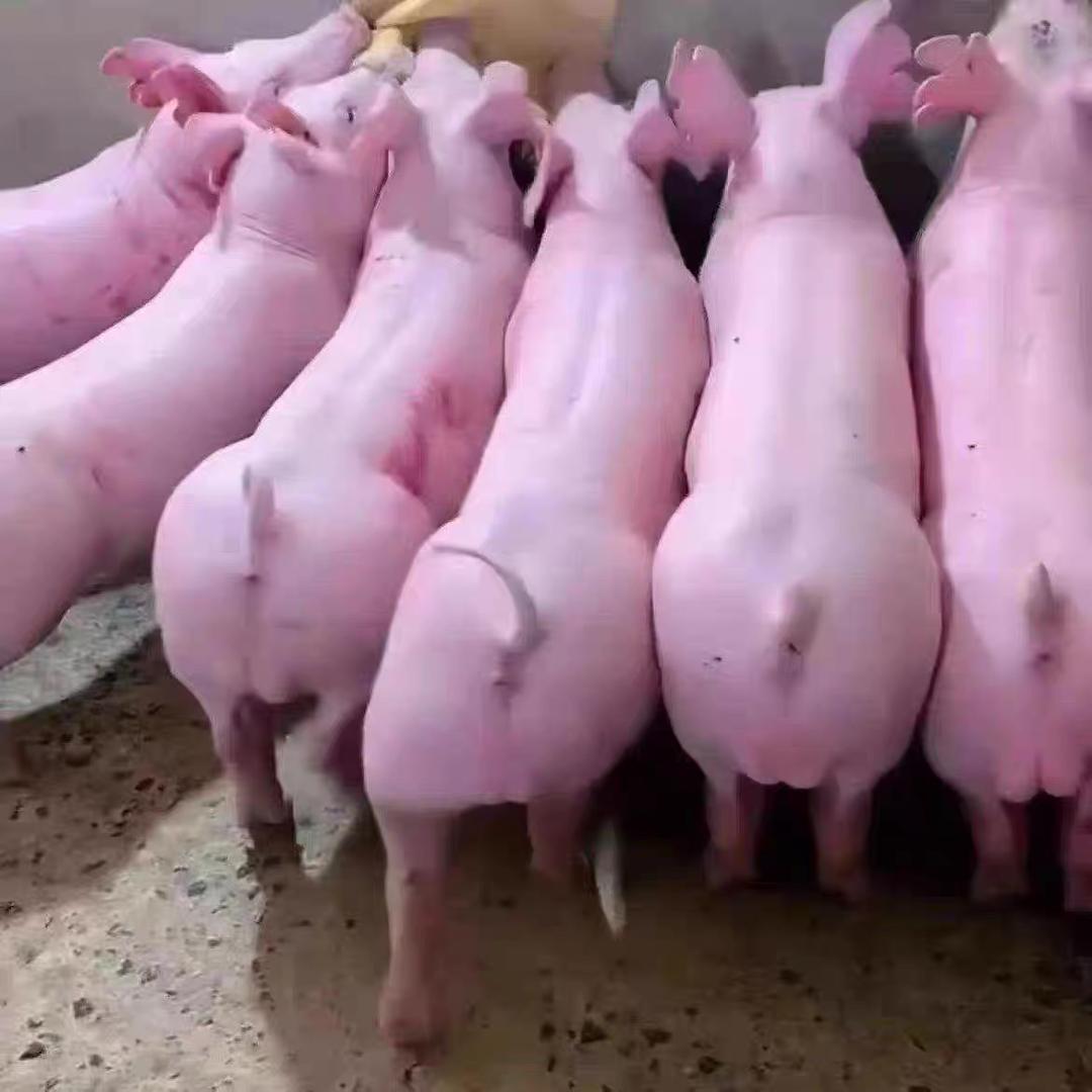 友谊·国贸城C区官方号