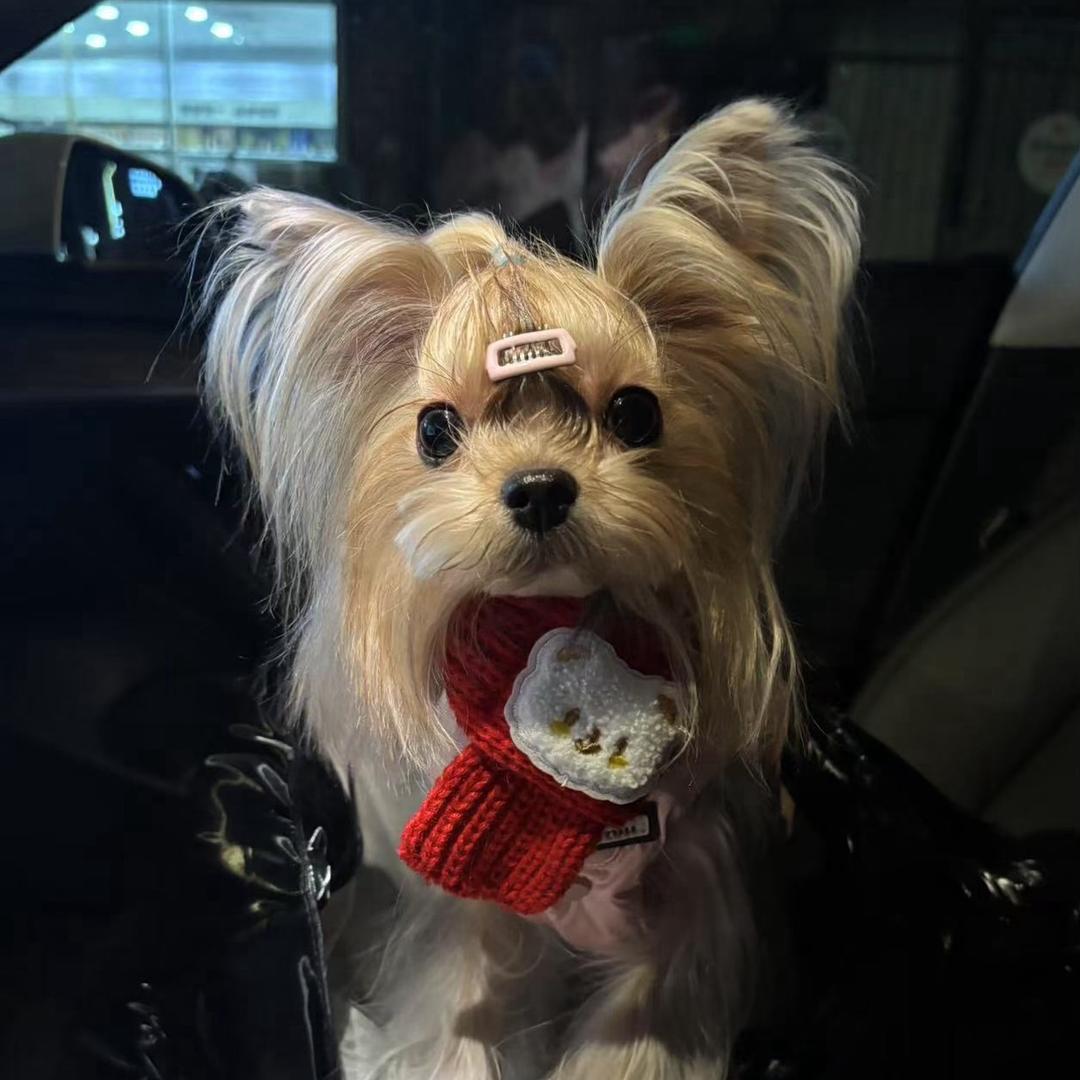 祷告（接三角洲陪🥣和跑刀）