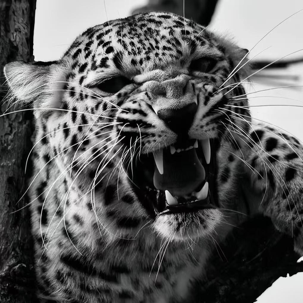 忻州·CM创世神话酒吧·为难