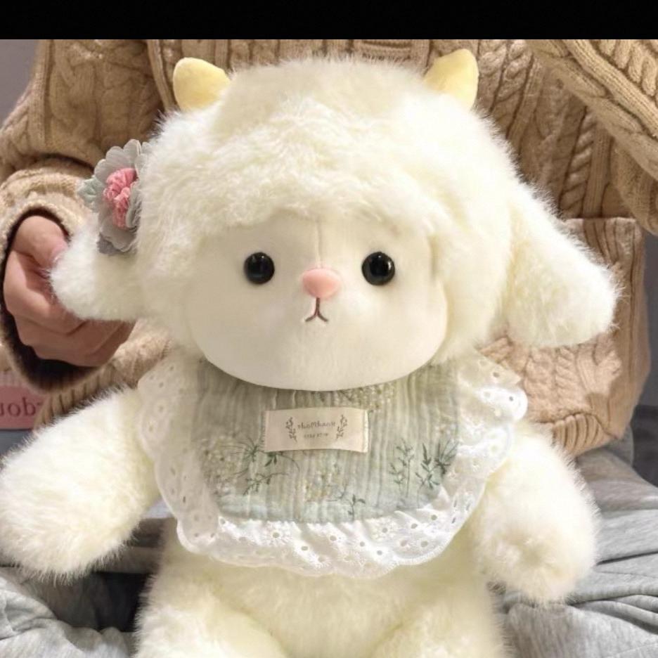 小迪大王万岁