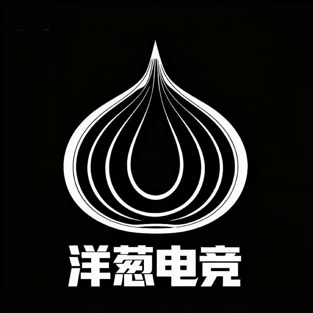 洋葱电竞（无畏契约代）