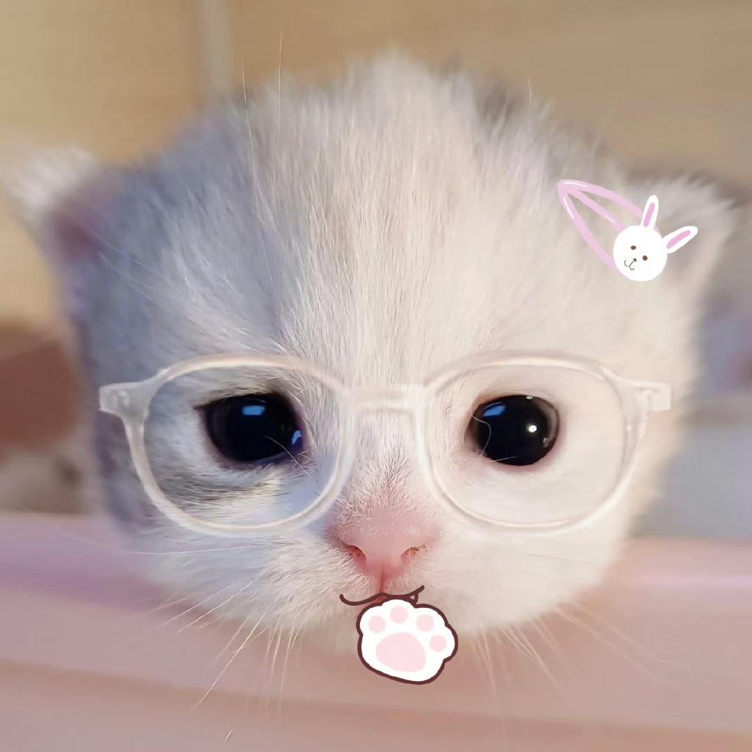 一颗栗子_