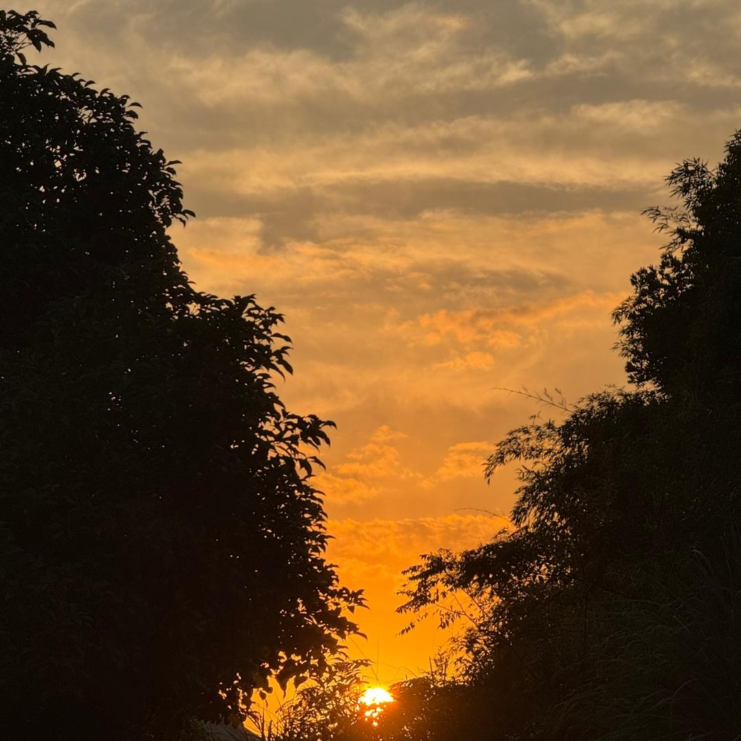 轩于鲜自助火锅（缙云新碧店）