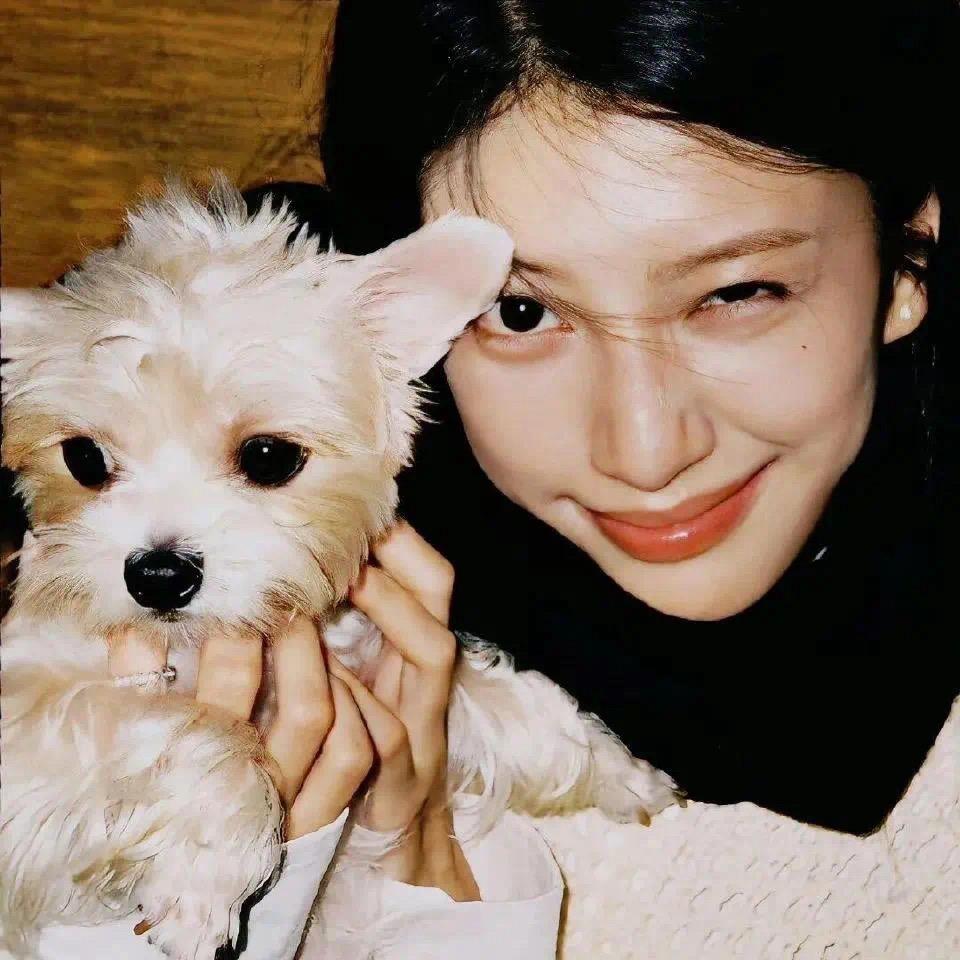 西安小鹿硬核匹配